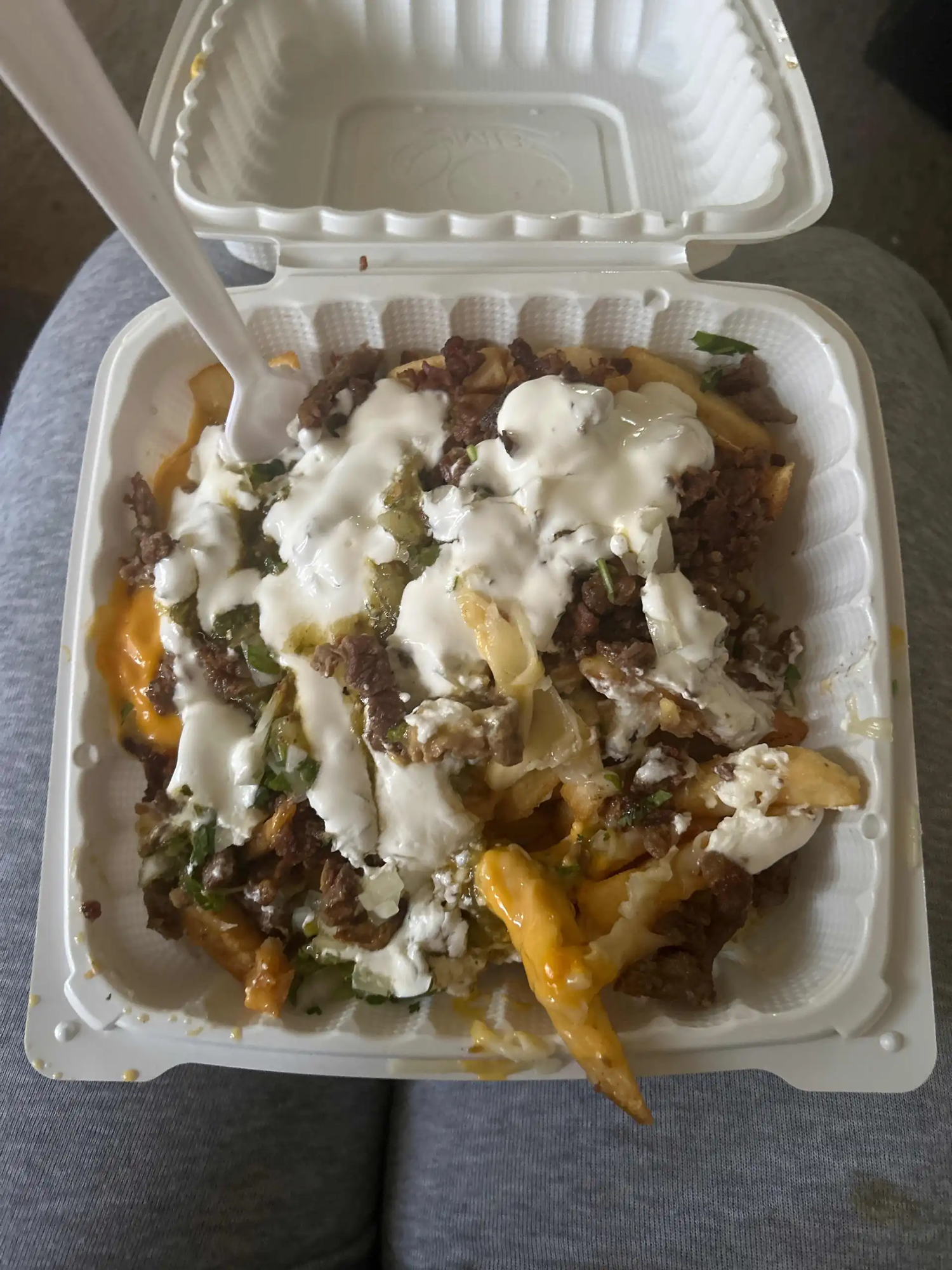 Meaty Fries